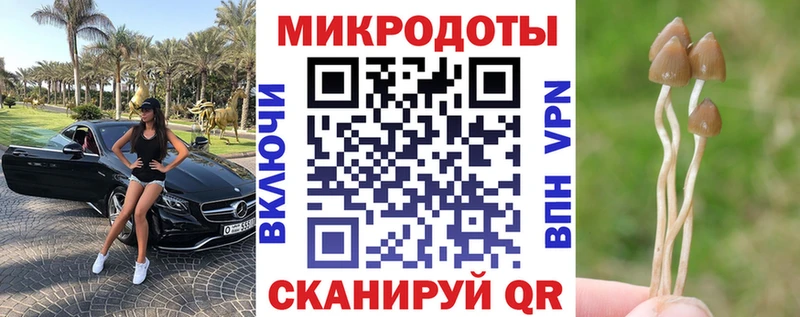 Псилоцибиновые грибы Magic Shrooms маркетплейс наркотические препараты Углич купить закладку